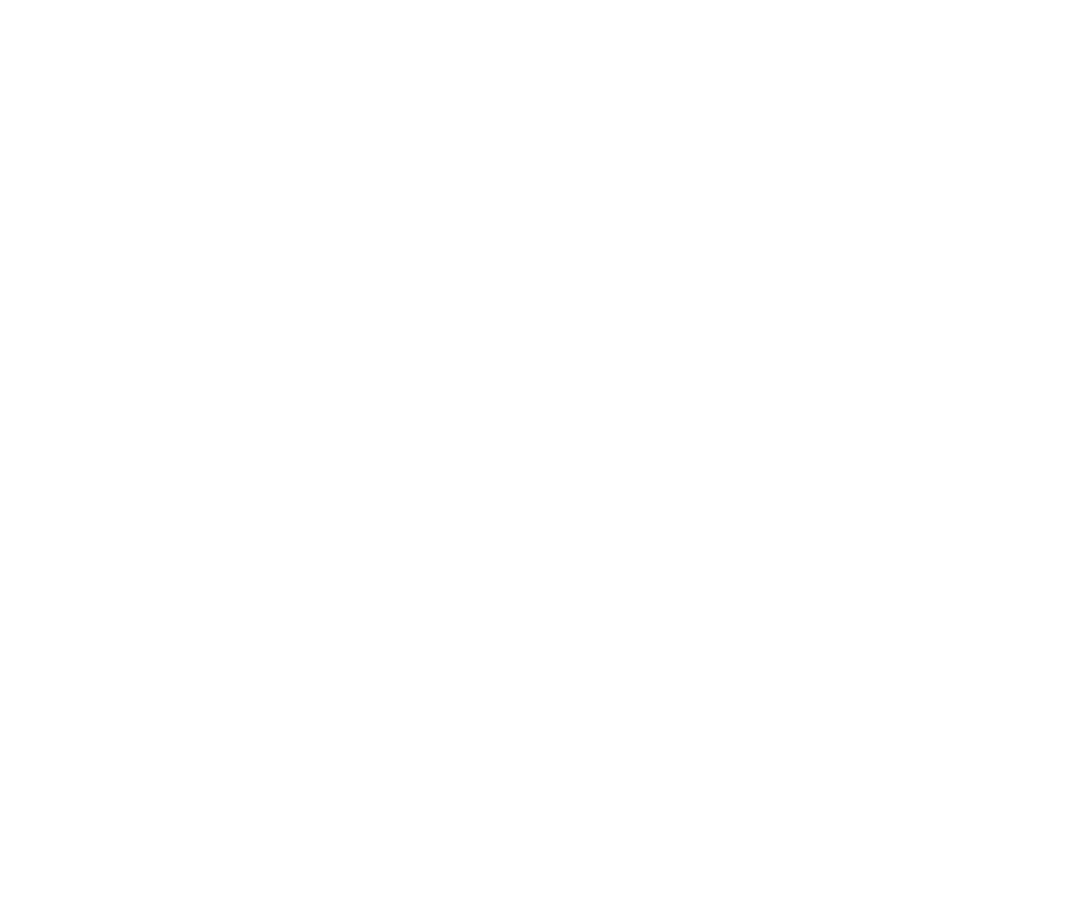 repaira logo white